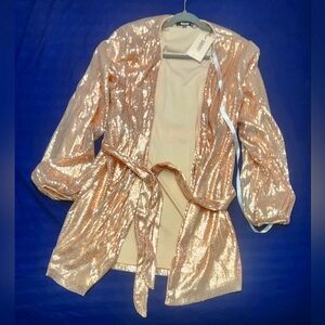 Wrap Balloon Sleeve Dress Sequin